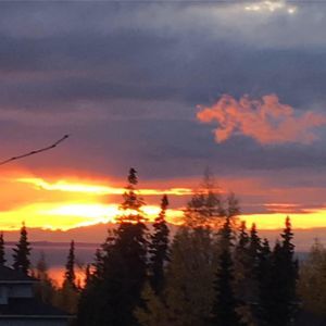 Meet your Posher, Martha